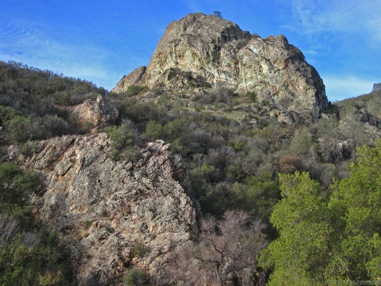 Pinnacles010810-1191.jpg