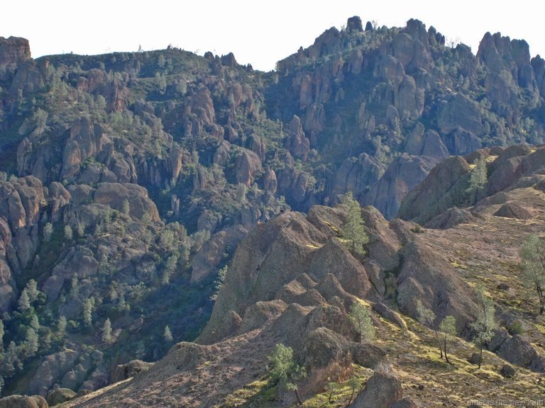 Pinnacles010810-1250.jpg