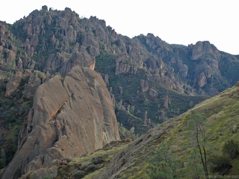 Pinnacles010810-1275.jpg