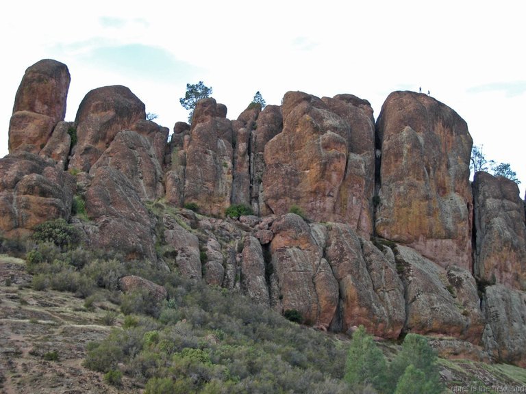 Pinnacles010810-1285.jpg