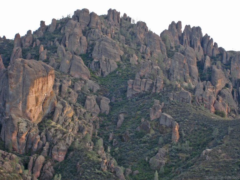 Pinnacles010810-1295.jpg