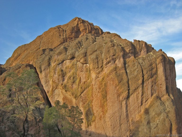 Pinnacles010810-1306.jpg