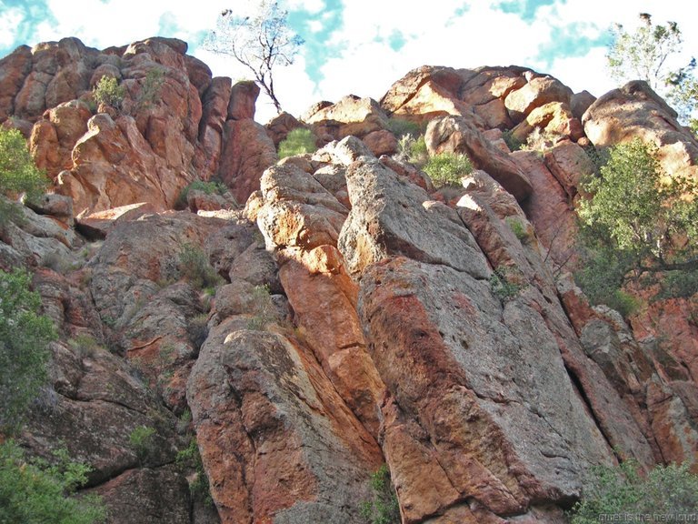 Pinnacles010810-0998.jpg