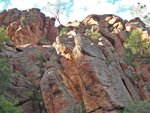 Pinnacles010810-0998.jpg