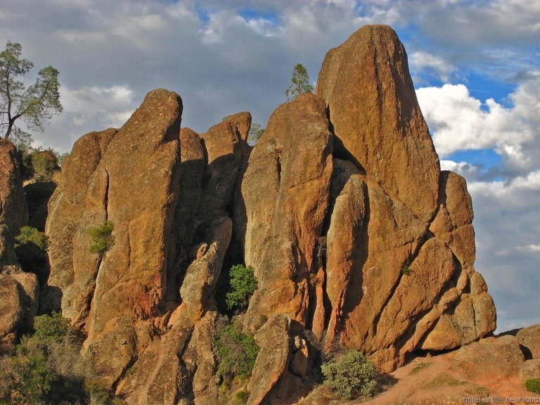 Pinnacles010810-1011.jpg