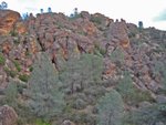 Pinnacles010810-1026.jpg