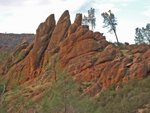 Pinnacles010810-1028.jpg