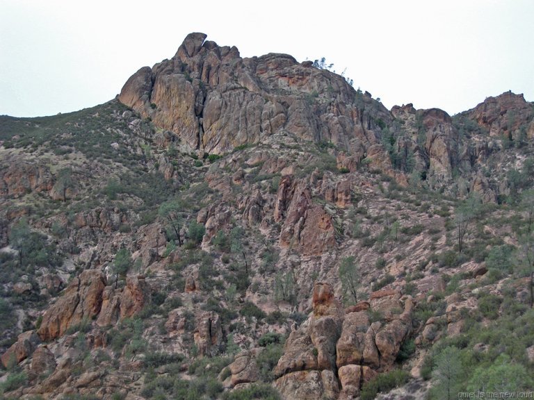 Pinnacles010810-1048.jpg