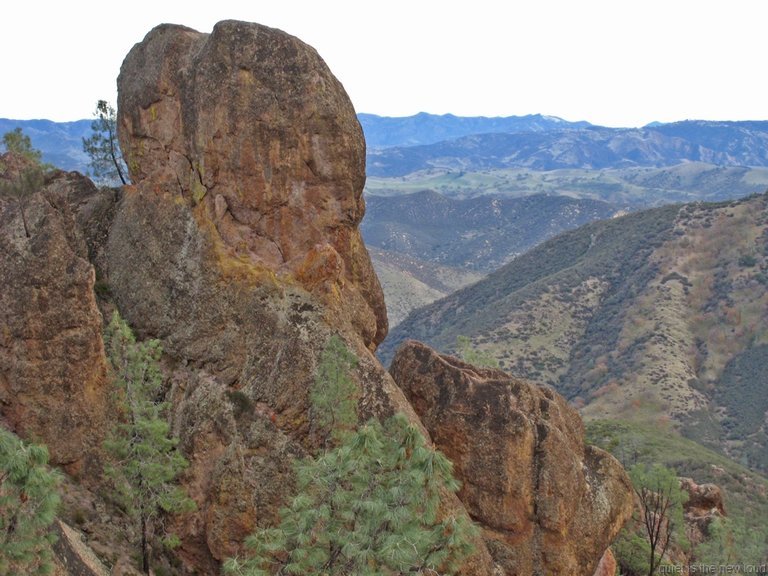 Pinnacles010810-1064.jpg