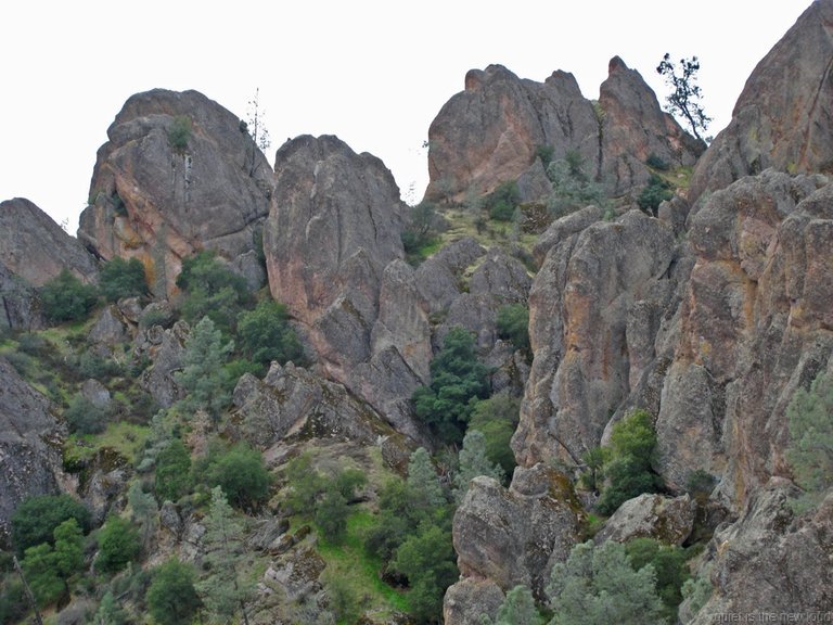 Pinnacles010810-1072.jpg