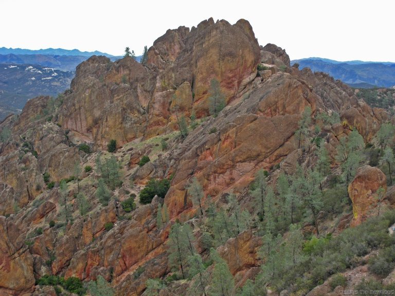 Pinnacles010810-1089.jpg