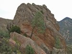 Pinnacles010810-1099.jpg