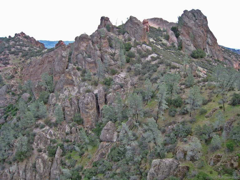 Pinnacles010810-1123.jpg