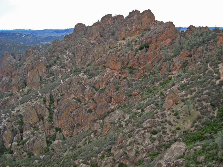 Pinnacles010810-1125.jpg