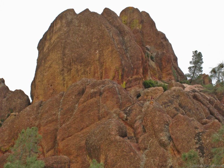 Pinnacles010810-1140.jpg