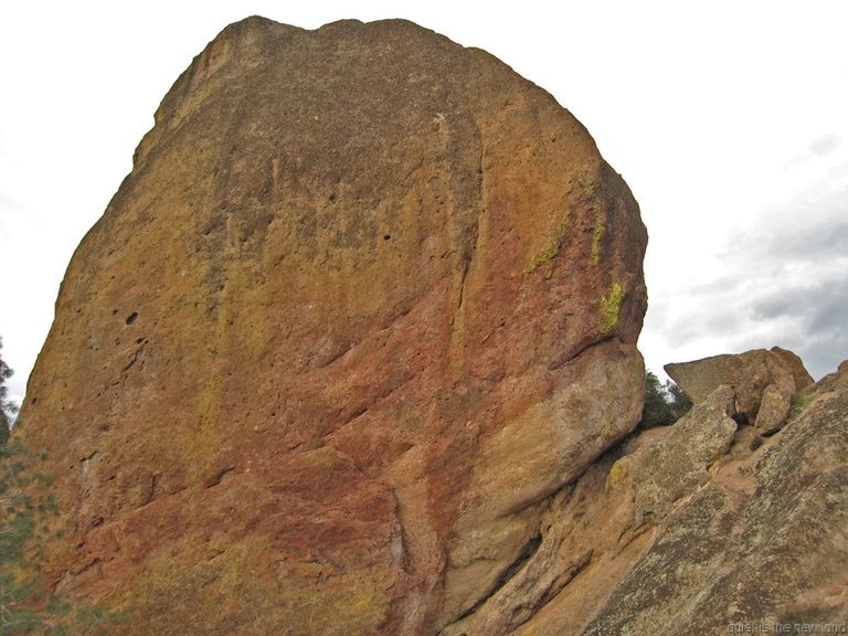 Pinnacles010810-1149.jpg