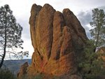 Pinnacles010810-1159.jpg