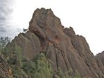 Pinnacles010810-1163.jpg