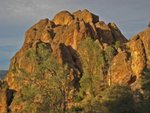 Pinnacles010810-1166.jpg