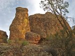 Pinnacles010810-1169.jpg