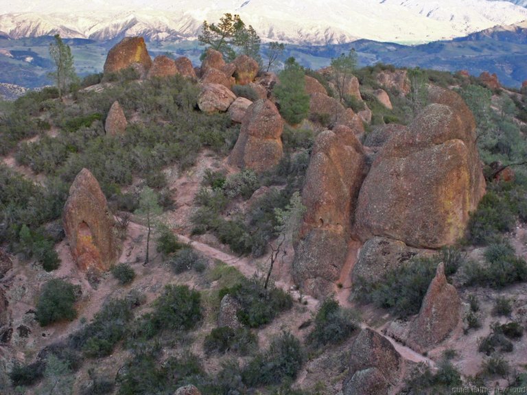 Pinnacles010810-1178.jpg