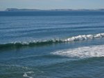 Point_Reyes010210-038.jpg