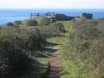 Point_Reyes010210-044.jpg