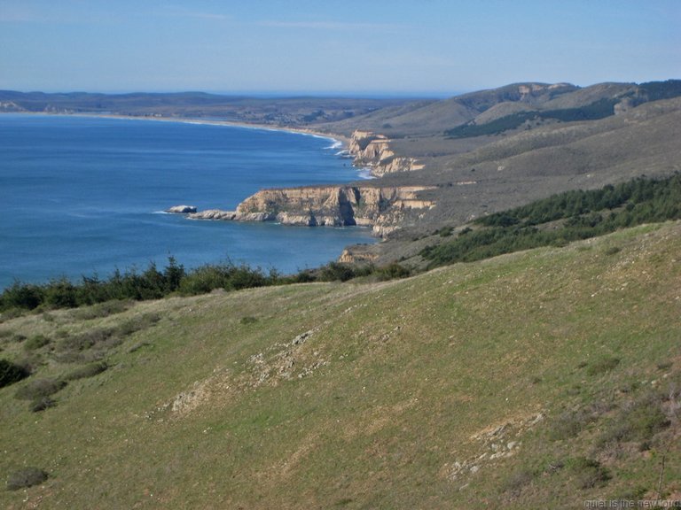 Point_Reyes010210-056.jpg