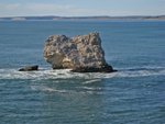 Point_Reyes010210-079.jpg