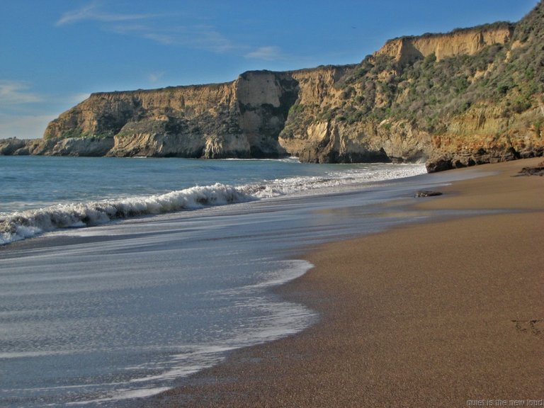 Point_Reyes010210-089.jpg