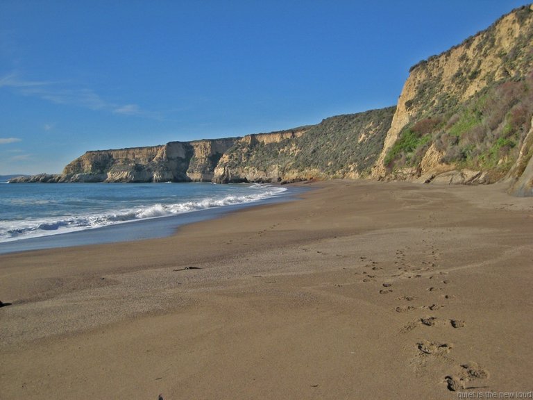 Point_Reyes010210-093.jpg