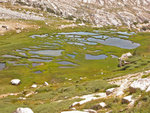 yosemite081409-170.jpg