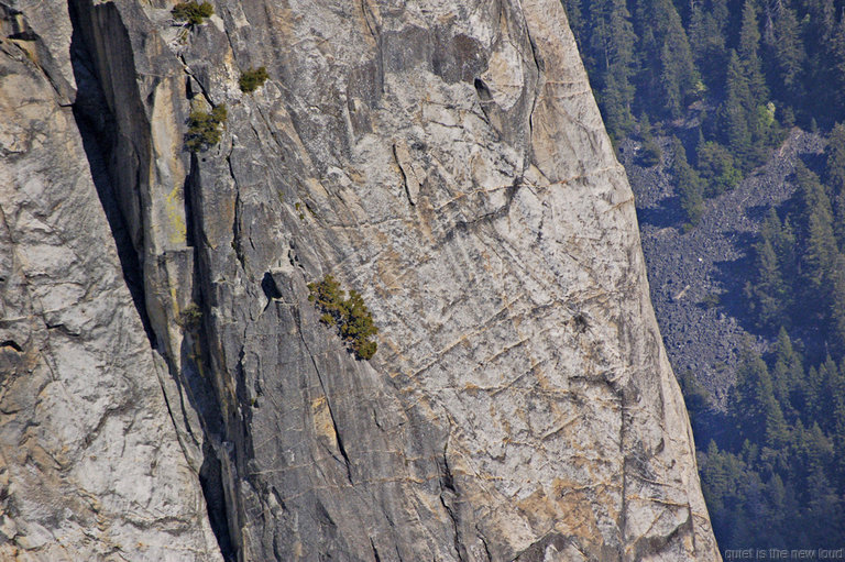 El Capitan, Southwest Face