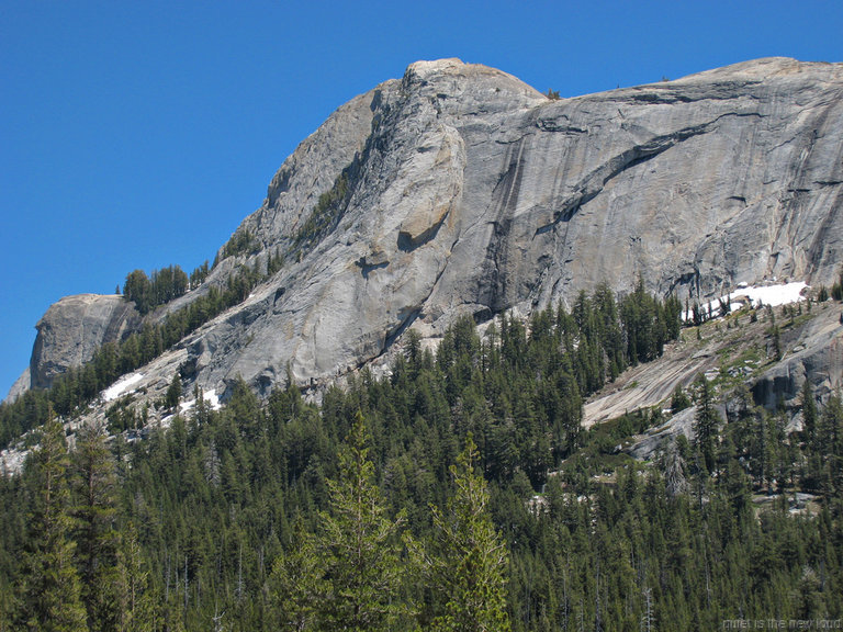 Medlicott Dome