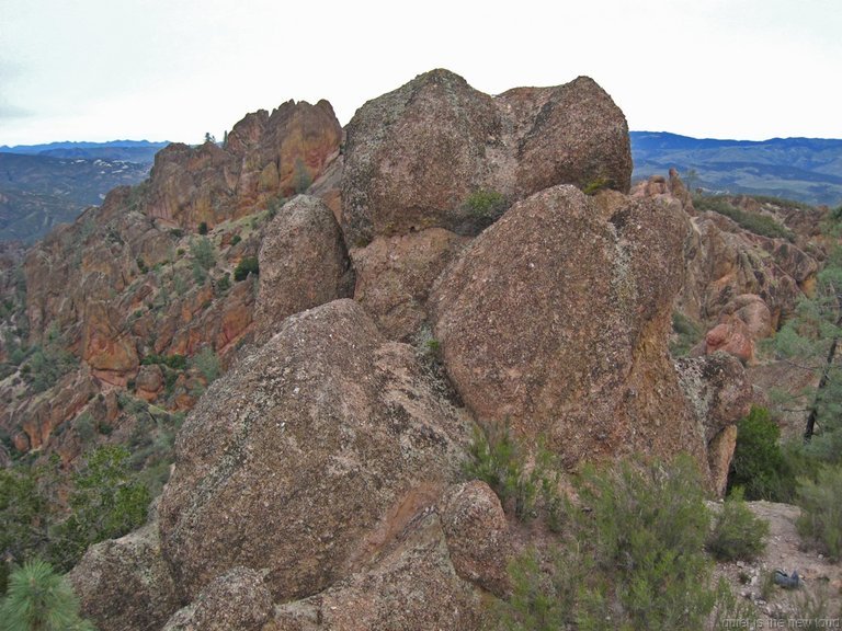 Pinnacles010810-1098.jpg